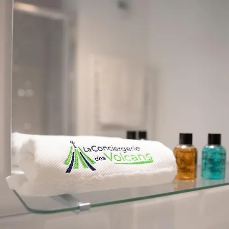 #fontgieve#centre/fibre Optique/lumineux/paisible Apartment Clermont-Ferrand